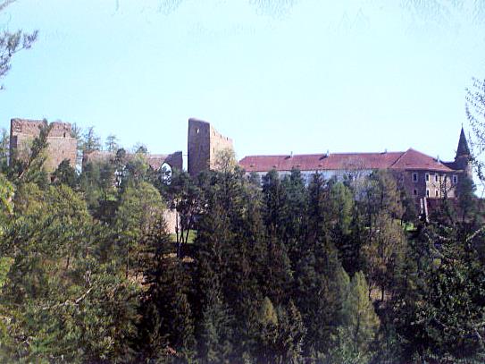 P1020267.JPG